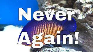 Download 5 Saltwater Fish I Regret Buying...and Why MP3