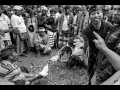 Download Lagu Tajen, Bali's Cockfights - A Travel Documentary