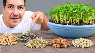 ملايين يفشلون فى إنبات البذور🌱 4 خطوات عبقرية لانبات اى بذور على وجة الأرض
