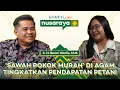 Download Lagu Sawah Pokok Murah! Langkah Bupati Agam Benni Warlis Angkat Ekonomi Petani | NUSARAYA