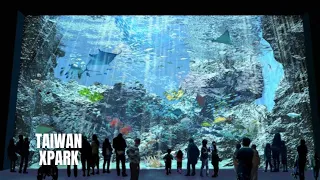 Taiwan Xpark Aquarium Walking Tour 2025