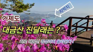 무작정 떠난 봄 여행 거제도 2박3일/매미성.대금산 진달래.농소몽돌해변 무료 야영지#스타랙스캠핑카 #차박여행 썸네일