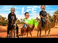 J’aurai ta peau, vieux chameau ! - LFE #54 