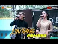 Download Lagu LINTANG ASMORO - Arya Galih ft Wury Yunita | DESTRA Musik - DK Audio | DWI MediaPro Live in Plaosan