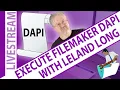 Execute FileMaker Data API - Claris FileMaker Platform Execute Data API