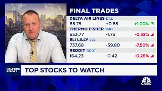 Final Trades Reddit Delta Thermo Fisher and Eli Lilly