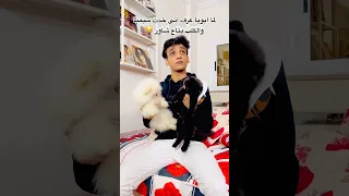 لما ابويا عرف اني قلبت شاور في الكلب والقطة بتاعتة القيصر 