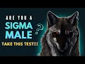 Are You a Sigma Male Take this Quiz to Find Out