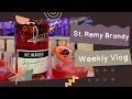 WEEKLY VLOG St Remy Brandy Signature Launch A Life Well Consumed