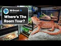 Reptile Room Tour