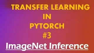 Python Pytorch Tutorials 2 Transfer Learning Inference with ImageNet Models