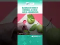 Download Lagu Inilah Ramuan Obat Herbal yang Mampu Atasi Luka Lambung: Air Daun Poncosudo hingga Daun Jambu Biji