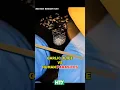 Download Lagu Knoflooksap versus parasitaire wormen – je gelooft het niet! 🍍🧬