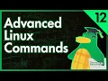 Advanced Linux Commands Linux for Programmers