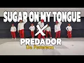 Download Lagu Sugar in my tongue x Predador De perereca | Dj John Paul Remix | Tiktok trend | Kingz krew