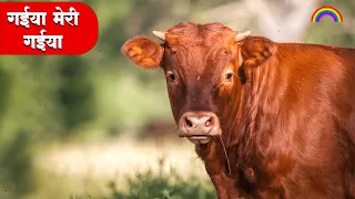 🔴LIVE - गईया मेरी गईया │ GAIYA MERI GAIYA | Funny Cow 6 Song and Hilarious Cow Videos for Laughs!