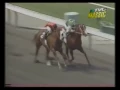MATCH RACE - Quarter Horse