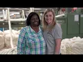 Lion Brand Yarn Local Grown