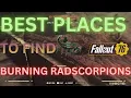 Fallout 76 Burning Radscorpions Locations
