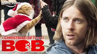 bobs new festive outfit brings cheer to streets of london a christmas gift from bob prime video