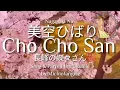 Download Lagu CHO CHO SAN 美空ひばり- 長峰の蝶々さん Nagasaki No Cho Cho San   Sang and Played the Ukulele  by Michiofangvie