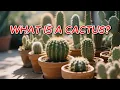 What is a Cactus Fun Facts for Young Kids Kindergarten and Preschoolers
