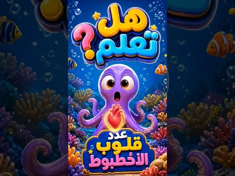 هل تعلم الأخطبوط لديه كام قلب؟