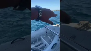 Portpalo to Syracuse #liveaboard