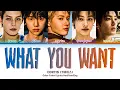 Lagu CORTIS (코르티스) 'What You Want' Lyrics (Color Coded Han|Rom|Eng)