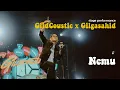 Lagu Gilga x Gildcoustic - Nemu Live at Sorak hore
