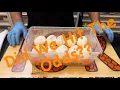 CUTTING BALL PYTHON EGGS Did we hit the odds for visual Clowns