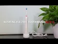 Oral Dental B Rotating Round Head Spin Sonic Electric Toothbrush RLT312