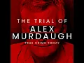 Father-Son Tension Alex Murdaugh and Buster Discuss Plagiarism Scandal