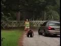 The Things That Happen In Green Acres