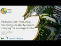 Multiplicators' workshop: becoming a butterfly expert, carrying the message further
