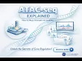 ATAC-seq Explained How to Map Chromatin Accessibility