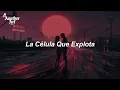 Caifanes - La Célula Que Explota (Letra/Lyrics)