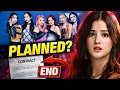 Lagu MOMOLAND Suddenly Over? 😢 | Kya Ye Planned Tha? |MOMOLAND Contract End 😱