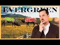 TOP PROS and CONS of Living in EVERGREEN Colorado Living in Colorado WATCH THIS BEFORE YOU MOVE