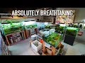 The Most Beautiful Aquascaping Store in Japan