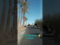 3 things I about Arizona