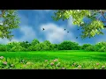 Nature background effect landscape background