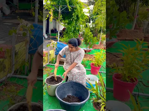 അമ്മയുടേം ഏട്ടന്റേം സഹായത്തോടെ അത് cheyithu🥰