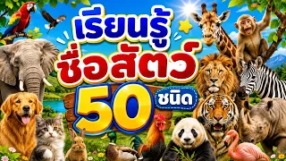 50 Animals in English | ຮຽນຮູ້ຊື່ສັດ 50 ຊະນິດ, คำศัพท์ภาษาอังกฤษสัตว์ 50 ชนิด | Animals