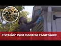 Exterior Pest Control Treatment
