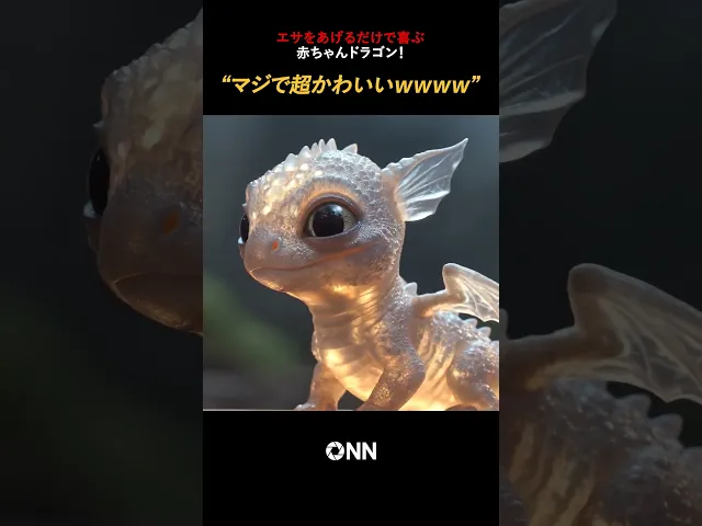 エサをあげるだけで喜ぶベビー龙、マジで可爱すぎて死ぬwwww