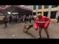 Lagu Si Gundul CFD-an di Depok dan Berlatih Bersama K-9 | JEJAK SI GUNDUL (06/01/26)
