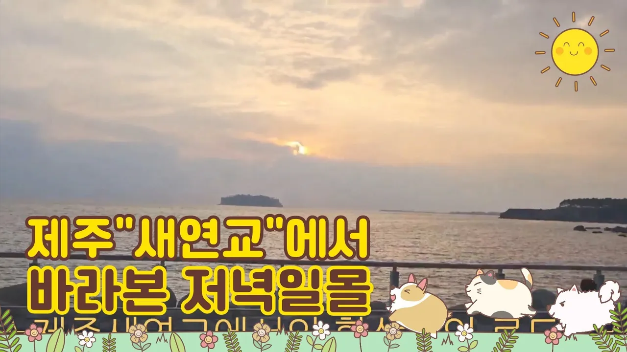 #"새로운 인연을 만들어가는다리" 라는뜻의 제주[새연교] 썸네일