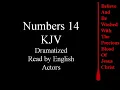 Numbers 14 KJV