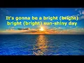 I Can See Clearly Now  - Johnny Nash - with lyrics